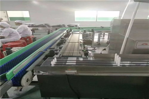 贵阳地区散装食品盒包机厚度标准与选用指南