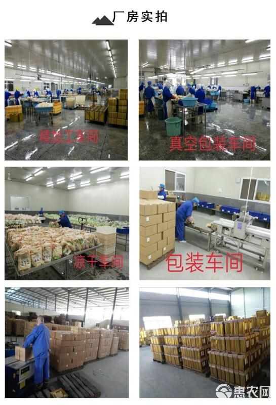 厂家直销清水冬笋 脆嫩口感与品质保障